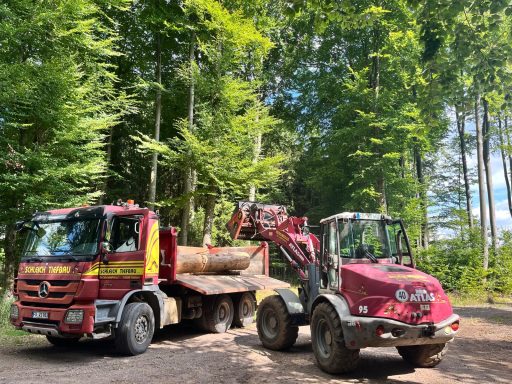 Zwei Baufahrzeuge im Wald, eines lädt Holz, das andere steht daneben.