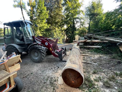 Lkw mit Schaufel arbeitet an einem Baumstamm in einem Waldgebiet.